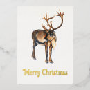 Recherche de caribous vœux cartes Hiver