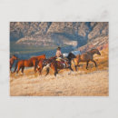 Suche nach wildpferde postkarten Landschaft