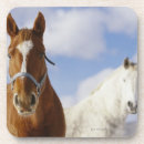 Suche nach pferdebilder untersetzer Pferdeliebhaber