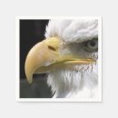 Recherche de aigles serviettes Rapace