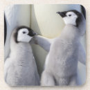 Suche nach kaiser pinguin untersetzer Süße tiere