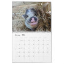 Suche nach tiere kalender Vegan