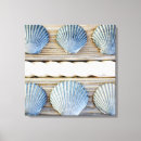 Recherche de coquille de plage art Collection