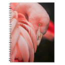 Suche nach rosa vogel kleine notizbücher Wild