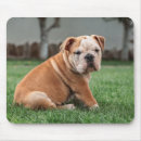 Suche nach englisch mousepads Haustier