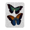 Suche nach schmetterlinge magnete Antike