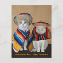 Recherche de sombreros cartes postales Chat