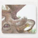 Recherche de rennes tapis souris Caribou