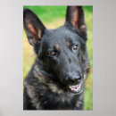 Suche nach deutscher schäferhund poster Niedlich