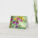 Suche nach befreiung karten Blume