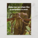 Recherche de réveil cartes postales Sommeil