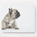 Suche nach zucht mousepads Natur