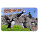 Recherche de proverbes magnets Écritures