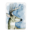 Recherche de mâle maison deco Animaux
