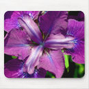 Suche nach iris blume mousepads Natur