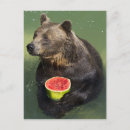 Recherche de la sur eau cartes postales Animaux