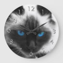 Suche nach katzenbilder poster Kitty