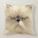 Suche nach persische katze kissen Katzenartig
