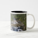 Recherche de ruisseau tasses Personne