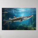 Suche nach alligator poster Fisch