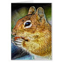 Recherche de tamia cartes postales Nature