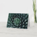 Recherche de agave vœux cartes Succulent