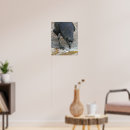 Suche nach corvus poster Tiere