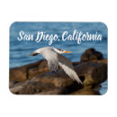 Recherche de volée magnets Oiseau