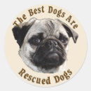 Suche nach bester hund aufkleber Mops