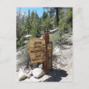 Suche nach john muir postkarten Wildnis
