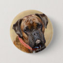 Recherche de chien boxeur badges Headshot