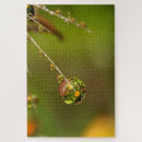 Suche nach faden puzzle Löwenzahn