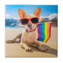 Recherche de gay carreaux Pride