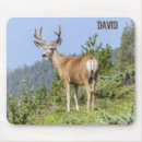 Suche nach elche mousepads Wald