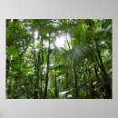 Recherche de la dominique posters Paysage