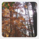 Suche nach herbstbaum aufkleber Bäume