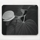 Recherche de photosynthèse tapis souris Nervure de feuille