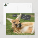 Recherche de noël australien cartes postales Xmas