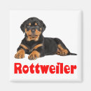 Recherche de dessin chien rottweiler de de maison deco Chiot