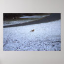 Suche nach fuchs im schnee poster Tiere