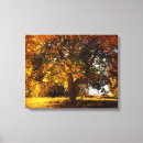 Suche nach herbstbaum leinwandbilder Landschaft