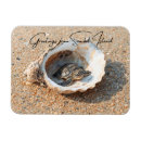 Recherche de coquille tortue magnets Pour tous