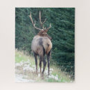 Recherche de elk puzzles Bois