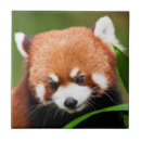 Suche nach panda fliesen China