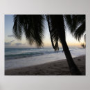 Suche nach palmenstrand poster Ozean