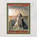 Suche nach adoptierte Adoptiert hunde