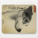 Recherche de keyboard cartes postales Animal