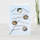 Recherche de humour pêcheur anniversaire cartes Pour tous