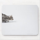 Recherche de concentration tapis souris Nature