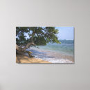 Suche nach stewart kunst Hawaii